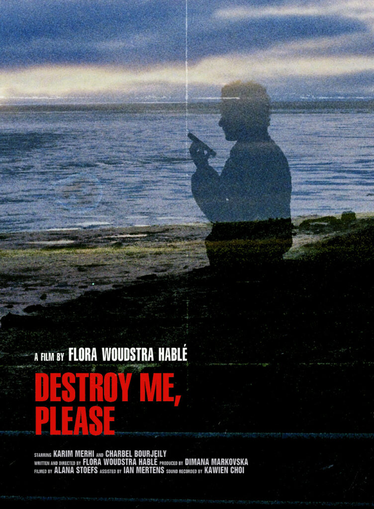DESTROY ME PLEASE poster concept folded starring light